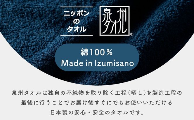099H3734 濃色カラー バスタオル 2枚（ネイビー）【泉州タオル 国産 吸水 普段使い シンプル 日用品 家族 ファミリー】