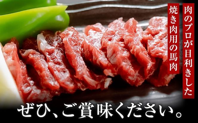 馬肉焼肉用 500g カット済 桜屋 《60日以内に出荷予定(土日祝除く)》熊本県 南阿蘇村 送料無料 肉 馬肉 焼肉---sms_fsybnyn_60d_r7_18500_500g---