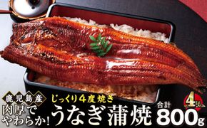 うなぎ 蒲焼 200g×4尾【鹿児島産】地下水で育てた絶品鰻 464686_AQ127