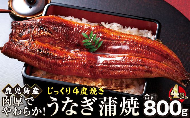 うなぎ 蒲焼 200g×4尾【鹿児島産】地下水で育てた絶品鰻 464686_AQ127