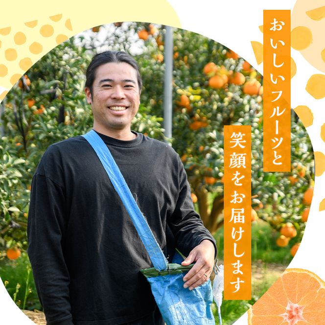 ＜先行予約受付中！2027年2月中旬以降順次発送予定＞数量限定！おおの果樹園の「大将季」(計3kg) 果物 フルーツ 果実 柑橘 ハウス栽培 無加温 みかん【おおの果樹園】akn087-03