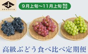 ［3回定期便］ 高級ぶどう食べ比べ定期便 約1kg × 3回 合計約3kg ［小布施屋］ フルーツ 果物 くだもの ぶどう 葡萄 ブドウ クール便 冷蔵 お楽しみ ナガノパープル クイーンルージュ_ シャインマスカット 令和8年産 【2026年9月上旬～11月上旬発送】