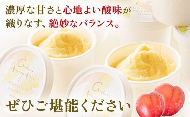 ハニーローザシャーベット 選べる内容量 6個 8個 12個 ぷらっとぎょくとう《60日以内に出荷予定(土日祝除く)》 熊本県 玉名郡 玉東町 スモモ すもも 果物 デザート スイーツ フルーツ 旬 シャーベット アイス セット 冷菓 冷凍 果肉入り ご当地シャーベット おやつ---gkt_prt_15_6k_a---