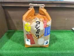 11D13小山町産こしひかり　5kg