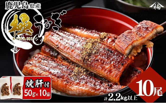 楠田の極うなぎ蒲焼き 220g以上×10尾(計2.2kg以上) 焼肝10袋付き wa24-007
