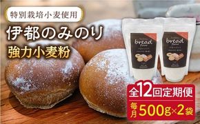 【全12回定期便】特別栽培 小麦 使用 伊都 の みのり( 500g × 2袋 )糸島市 / 天然パン工房楽楽【いとしまごころ】 [AVC068] 小麦 小麦粉 強力 強力粉  特別栽培 パン ぱん ブラン