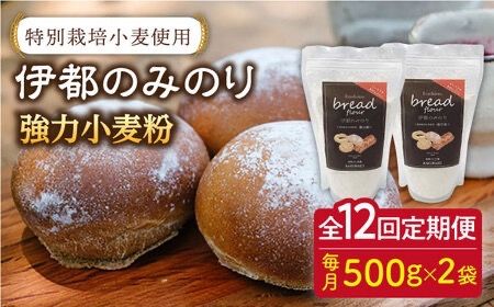 yszyS12ցzʍ͔|  gp ɓs  ݂̂( 500g × 2 )s / VRpH[yyyƂ܂z [AVC068]    ͕  ʍ͔| p ς u