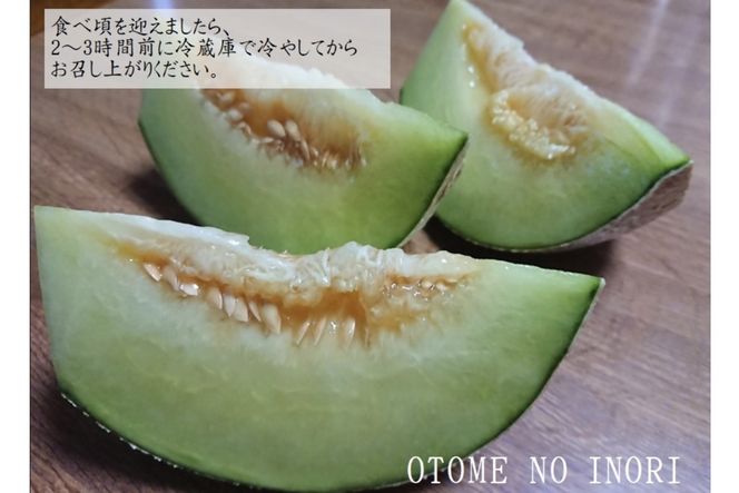 【先行予約】京都丹後久美浜産　砂丘メロン【オトメの祈り】　2Lサイズ／2玉入（2026年中旬～発送）　LP00004