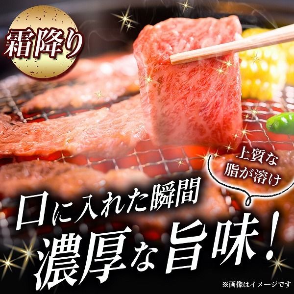 【A5等級】宮崎牛 特選焼肉セット 計1.2kg（赤身・霜降り） 宮崎牛 ブランド牛 和牛 牛肉 焼肉 特選和牛 霜降り A5 宮崎県 小林市