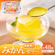 国産温州みかんゼリー1袋4個入×12袋 和歌山産業提供 山形県 東根市 hi070-005