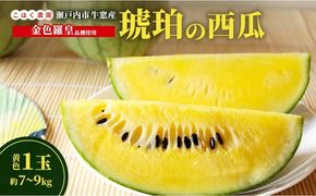 こはく農園 瀬戸内市牛窓産 琥珀の西瓜【金色羅皇品種使用】黄色 1玉(約7～9kg) スイカ 西瓜 フルーツ 国産 岡山 瀬戸内市 [№5735-3536]