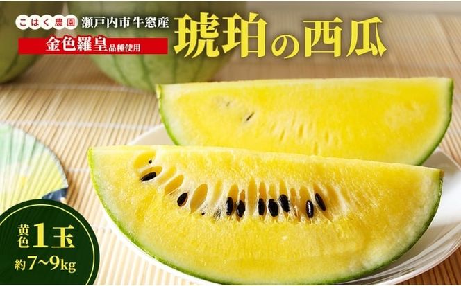 こはく農園 瀬戸内市牛窓産 琥珀の西瓜【金色羅皇品種使用】黄色 1玉(約7～9kg) スイカ 西瓜 フルーツ 国産 岡山 瀬戸内市 [№5735-3536]