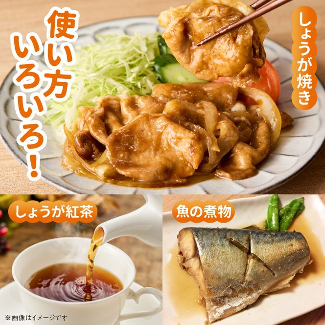 しょうが 粉末 N048-YA0494