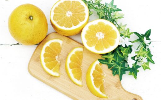 数量限定 先行予約 贈答用 河内晩柑 3kg 7000円 みかん かわちばんかん 愛南ゴールド あいなん ゴールド 夏 文旦 和製 グレープフルーツ 家庭用 産地直送 国産 農家直送 期間限定 ビタミン 健康 おいしい 特産品 ゼリー ジュース アイス 等に 人気 限定 さわやか 甘い フルーツ 果物 柑橘 mikan 蜜柑 ミカン ギフト プレゼント おすそわけ お試し 吉田農園 愛南町 愛媛県