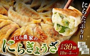 にら農家の ぎょうざ  国産 小分け (10個×3パック) 肉 惣菜 人気 おすすめ 簡単 グルメ 冷凍 豚肉 野菜 加工品