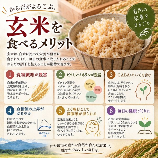 【新米先行予約】【2026年10月以降順次発送予定】 ひとめぼれ 令和8年度産 玄米 1kg 米 コメ お米 おこめ ご飯 ごはん 秋田 にかほ