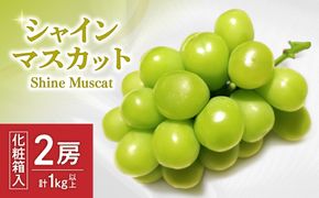 JAむなかた厳選【むなかた産シャインマスカット】2房(1kg以上)【JAほたるの里】_HA0914