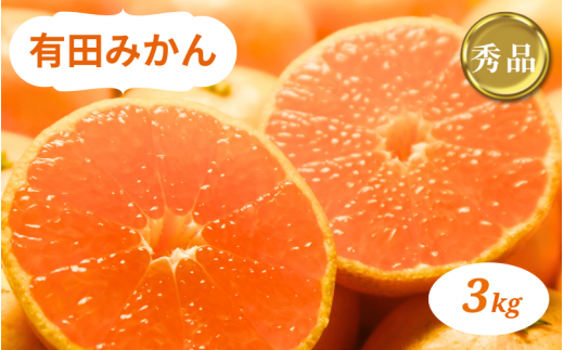 有田みかん 3kg 秀品 ※2024年10月下旬～2025年1月中旬頃に順次発送予定（お届け日指定不可)【smt007】