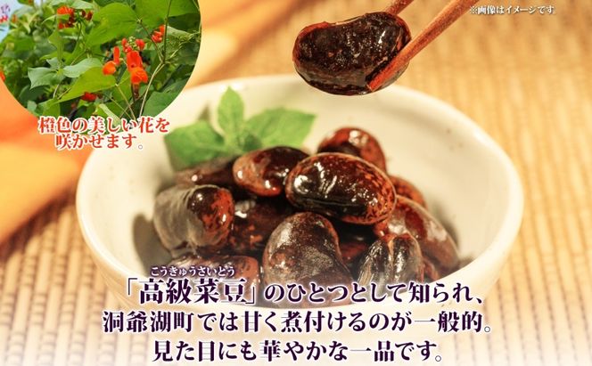 北海道 洞爺湖町産 高級菜豆の紫花豆 500g 2袋 計1kg 12月中旬よりお届け 紫花豆 菜豆 むらさきはなまめ 高級 菜豆煮豆 豆 まめ マメ 乾物 長期保存 お取り寄せ グルメ ギフト 送料無料 