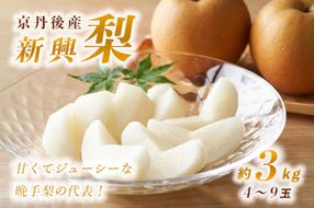 【先行予約】甘～ぃ！ジューシー！！晩生梨の代表 京丹後産 新興梨 3kg（4～9玉）（2025年10月中旬～発送）　国産 なし ナシ 梨 2024フルーツ ふるーつ 果物 くだもの 農家応援 生産者応援 YK00057