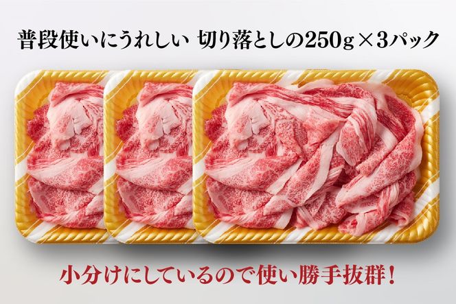 艶さし!【A4～A5】佐賀牛大判霜降り贅沢切り落とし 750g(250g×3P)【佐賀牛 切り落とし 霜降り 肩ロース 大判 一枚肉 薄切り 250g 小分け】(H112341)