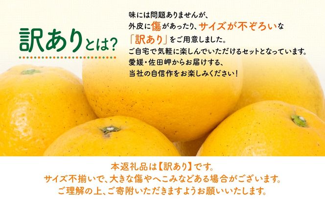 【先行予約】【訳あり】ジューシーフルーツ5kg（2027年5月中旬より順次発送） IKTF039
