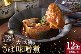 OceanPrincess 大ぶり鯖のさば缶 12缶 セット 味噌煮 [モンマルシェ 宮城県 気仙沼市 20565066] 缶詰 サバ缶 サバ 缶詰め かんづめ 鯖 さば さばの味噌煮 味噌煮 簡単調理 高級 保存食 常備 常温 オーシャンプリンセス