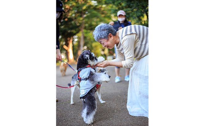 オーガニック鹿肉ペットフード（犬用）ドライタイプ　1kg×10袋 エサ 