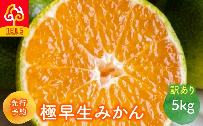 【先行予約】【訳あり】極早生みかん 5kg（2026年9月中旬から発送予定）IKTF029
