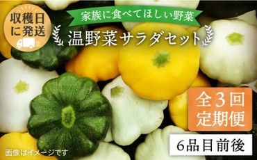 [全3回定期便]朝採れ 温野菜 サラダ セット (6品前後) [糸島][オーガニックナガミツファーム] [AGE019] 野菜セット 野菜 やさい サラダ 詰め合わせ トマト とまと 野菜野菜セット 野菜やさい 野菜サラダ 野菜詰め合わせ 野菜トマト 野菜とまと 野菜ベビーリーフ 野菜水菜 野菜ハーブ 野菜オクラ 野菜人参 野菜にんじん 野菜ニンジン 野菜ほうれん草 野菜クレソン 野菜かぼちゃ 野菜カボチャ 野菜じゃがいも 野菜玉ねぎ