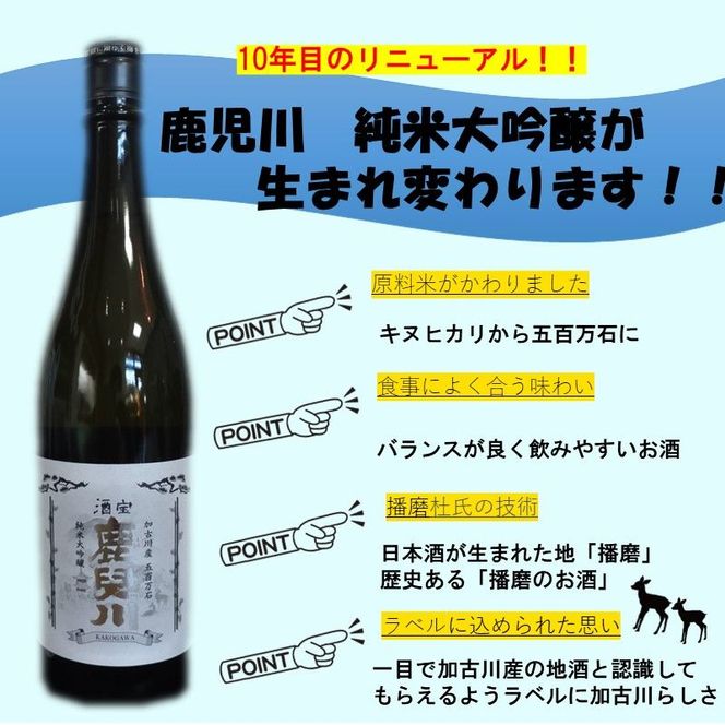 酒宝 鹿児川純米大吟醸 720ml 2本セット《飲料 酒 アルコール 純米大吟醸》【2401F02602】