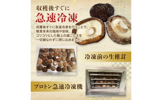 【F07040】冷凍 原木しいたけ（冬菇）1kg