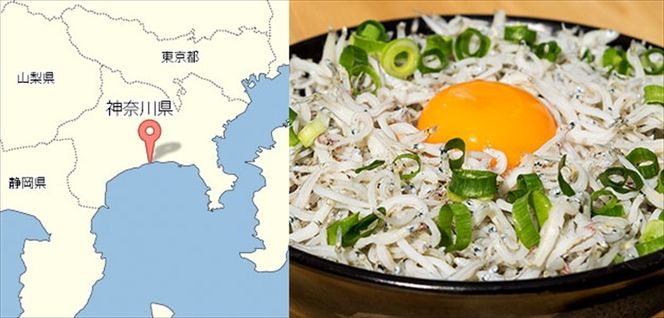 159-2049-04　湘南大磯しらす網元 松道丸・釜揚げしらす 3パック 600g （200g×3）【 しらす 魚介類 海鮮 惣菜 おかず ギフト 簡単調理 冷凍配送 送料無料 神奈川県 大磯町】