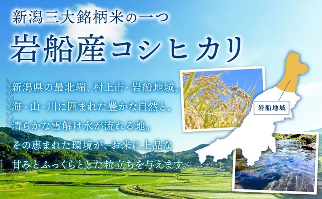 【新米受付・令和8年産米】新潟県村上市岩船産コシヒカリ10kg（5kg×2袋）　1102002N