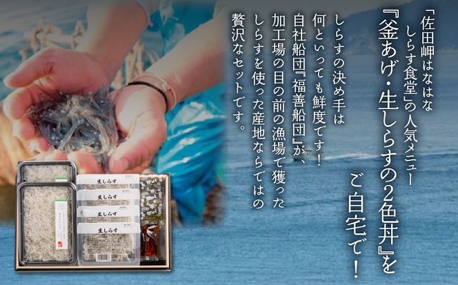 【網元直送】釜あげ・生しらすセット IKTB031