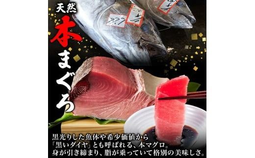 大間産 本マグロ 赤身 約160g 柵 まぐろ 鮪 本鮪 クロマグロ マグロ 柵取り 天然 国産 北海道産 レア 刺身 海鮮 海鮮丼 寿司 お取り寄せ 専門店 ギフト 人気 冷凍 鮪斗 北海道 函館市_HD144-007
