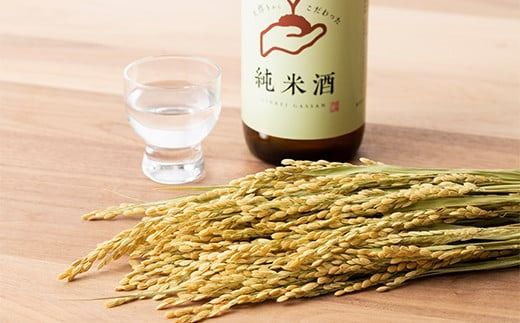 FYN6-590 月山のある西川町 銀嶺月山 純米酒（土作りから）720ml 山形県 西川町 酒 アルコール SDGs エスディージーズ