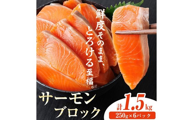 生食用 サーモン ブロック(計1.5kg・250g×6P) 鮭 小分け 真空 パック 冷凍 刺身 シャケ サケ 魚 魚介 【AW-101】【丸正水産】