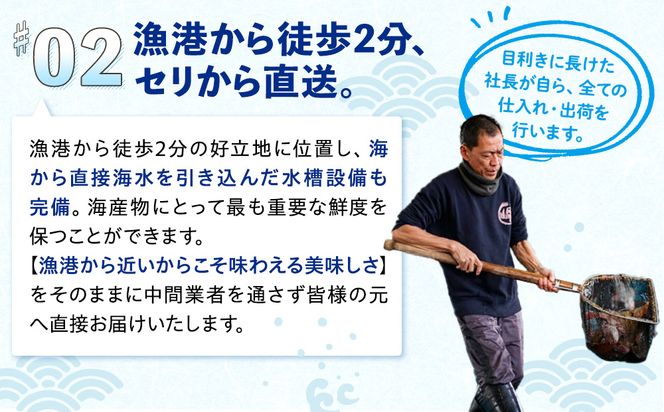 岬だより ＜貝専門店＞ 天然 白ミル貝 100g × 3袋 冷凍 新鮮 海鮮 鮮度 風味 魚介 貝 海の幸 お刺身 寿司 バター焼き ご飯 甘み おつまみ 酒 おすすめ 人気 愛知県 南知多町 三河湾 【離島不可】