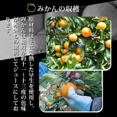 ZY6103n_有田みかんの味皇 180ml×12本 セット【和歌山 みかんジュース ミカンジュース ストレート 無添加 果汁100% 有田】