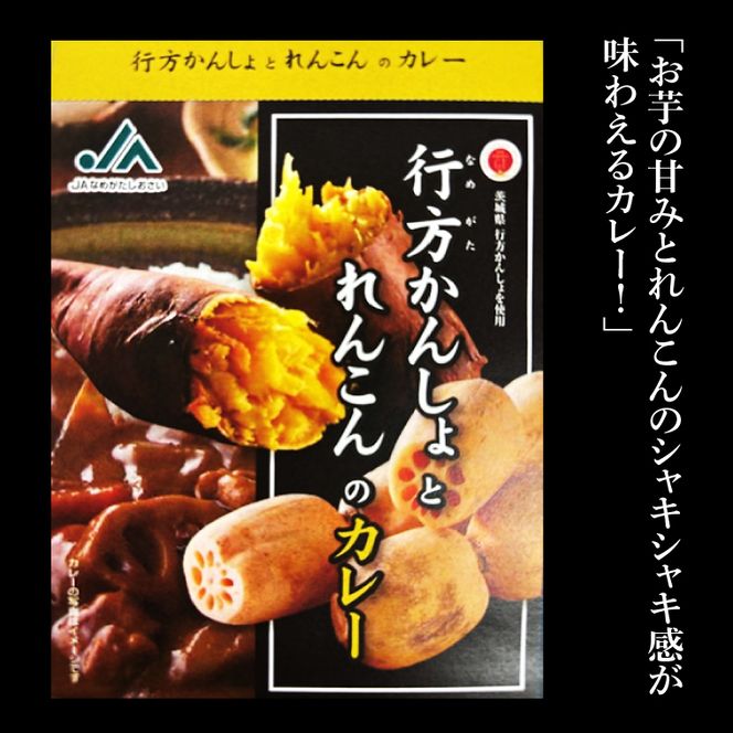 ～GI登録「さつまいも」使用～行方かんしょとれんこんのカレー(200g×10個)｜カレー レトルト レトルトカレー ご当地 ご当地カレー 人気 オススメ 便利 特産品 地元特産品 茨城県 行方市(AE-144)