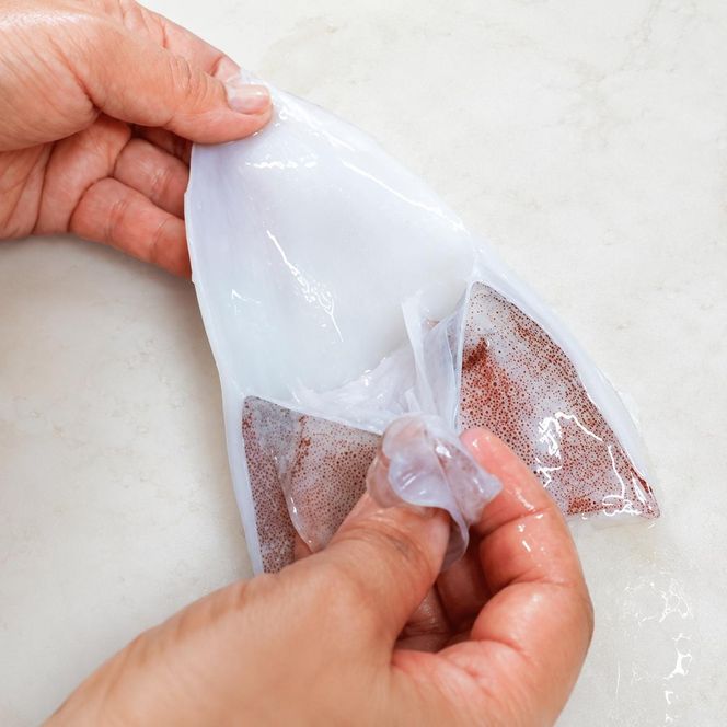 【2026年2月以降順次出荷】朝どれ 白いか 1kg（3～6杯）【 京都産 刺身 OK】[ イカ 剣先イカ 肴 人気返礼品 ] 魚貝類 