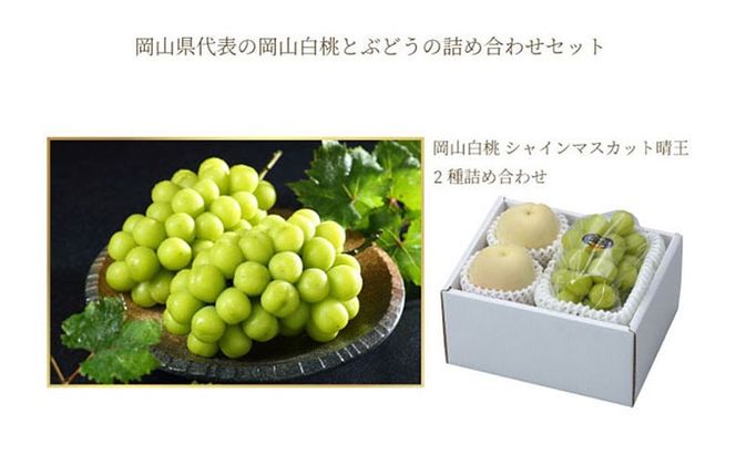 岡山白桃 ロイヤル 2玉×約250g（2Lサイズ、早生種・中生種）シャインマスカット 晴王 1房約500g 詰合せ 岡山県産
