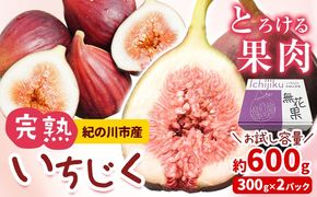 いちじく 完熟いちじく 約600g ( 300g × 2パック ) お試し パック いちじく イチジク 無花果 JAわかやま 紀の里地域本部《2026年9月上旬-11月上旬頃出荷》 和歌山県 紀の川市 青果物 果物 くだもの フルーツ スイーツ---wsk_cjak24_9j11j_24_7000_600g---