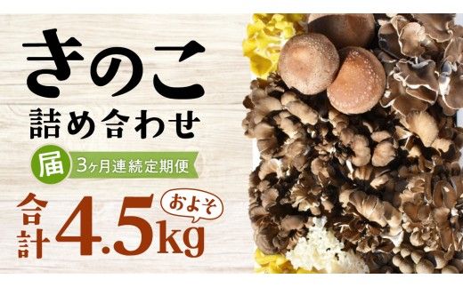 【 3ヶ月連続定期便 】きのこ の詰め合わせ Mサイズ ( 約1.5kg ) （茨城県共通返礼品：城里町） キノコ セット 野菜 低カロリー ダイエット デトックス バラエティ セット 新鮮 [DY006us]