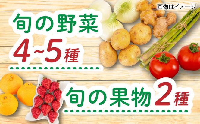 【全4回定期便 令和7年産新米】糸島産 肉 米 野菜 果物 厳選詰め合わせ MINORI BOX Mサイズ【季節ごとに年4回お届け】 糸島市 / emma.Inc / 米 肉 野菜 果物 詰め合わせ[AOP002] 米 こめ 肉 にく 野菜 やさい 果物 くだもの 糸島 詰め合わせ MINORI
