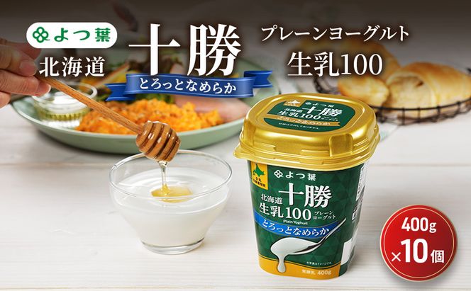 よつ葉 「北海道十勝プレーンヨーグルト 生乳100 とろっとなめらか」400g×10【 よつ葉 北海道十勝プレーンヨーグルト 生乳100％ タンパク質 菌 効果 腸活 レシピ 食べ方 アレンジ 水切り はちみつ 違い やわらか 北海道 十勝 幕別 】