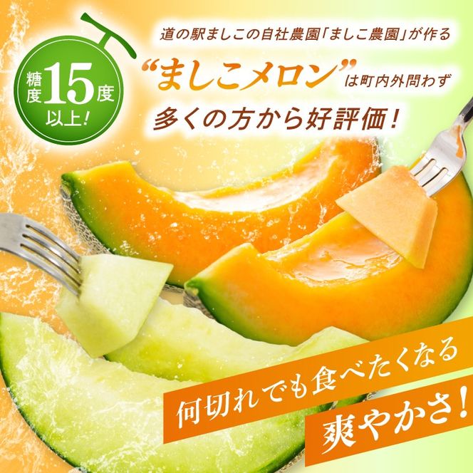 【先行予約】【数量限定】赤肉・青肉メロン食べ比べ2個セット｜タカミレッド＆タカミメロン｜高糖度・産地直送｜栃木県益子町 メロン プレゼント お中元 産地直送 赤肉 青肉　(AA045)