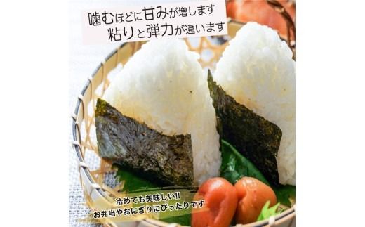 【新米受付・令和8年産米】新潟県村上市 岩船産 ゆうだい21（神林産地）5kg　1059001N