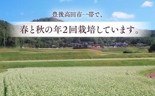 0C1-158 【12/17～28配送】R8秋新そば 豊後高田なまそば（100g×8食・つゆ付）  
